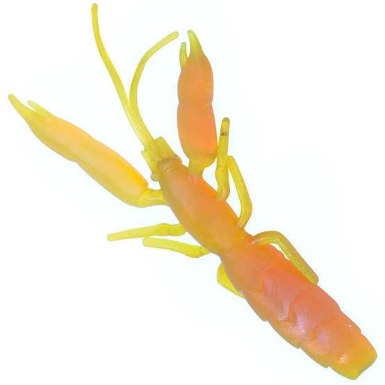 PROLURE - LIVE YABBIE  - 10 pack - MOTOROLL